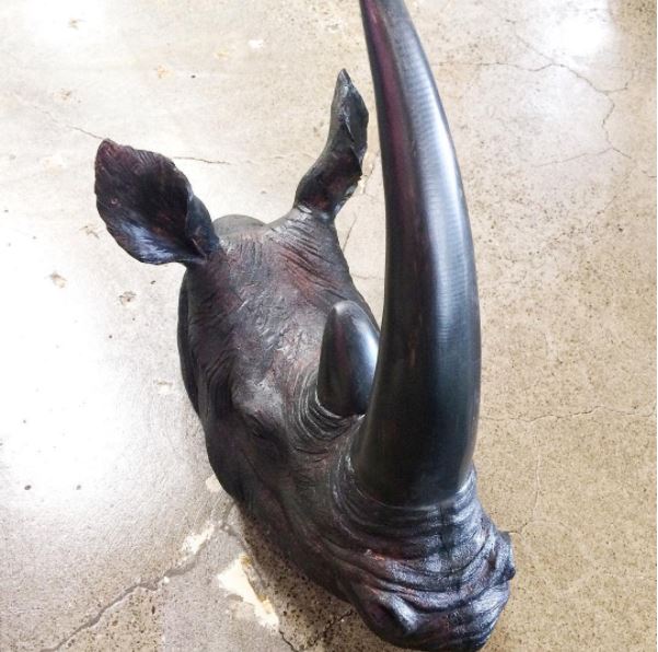 Marigolds Palmy Instagram